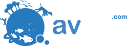 Avcity Avcity