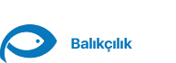 Cengiz Balıkçılık Cengiz Balıkçılık